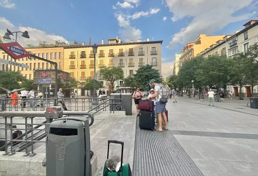 مسافرخانه Luz Madrid Rooms
