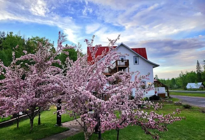 호텔 Auberge Les Etchemins