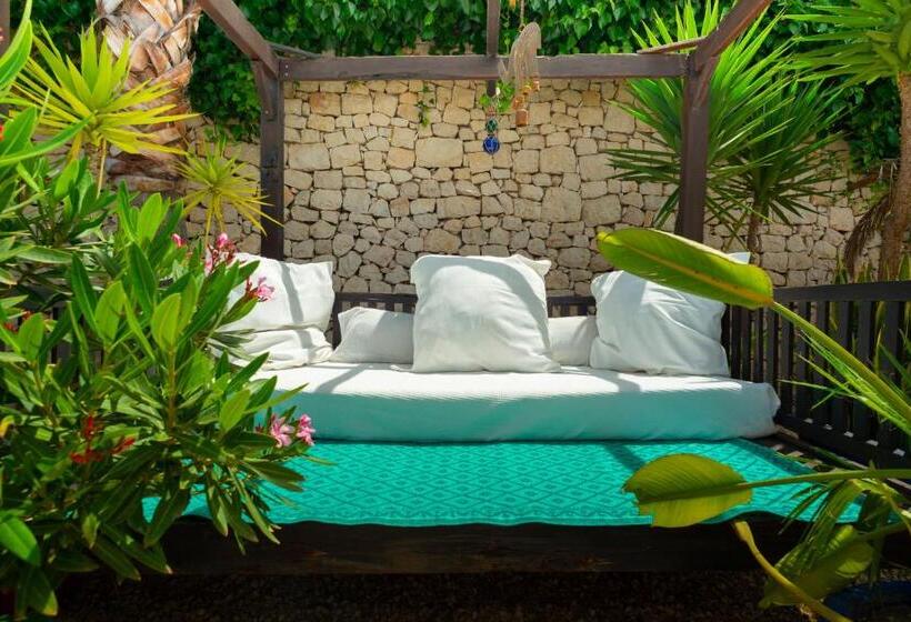 فندق Caballito De Mar Boutique