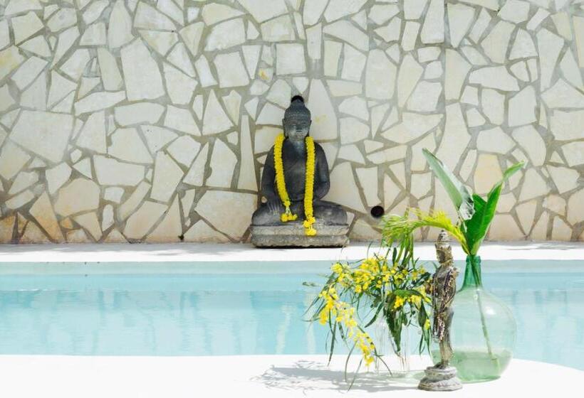 فندق Caballito De Mar Boutique