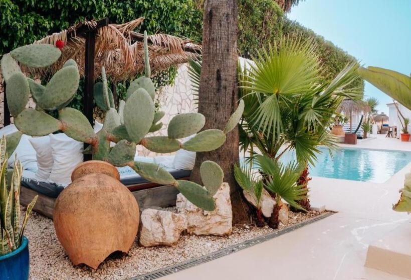 فندق Caballito De Mar Boutique