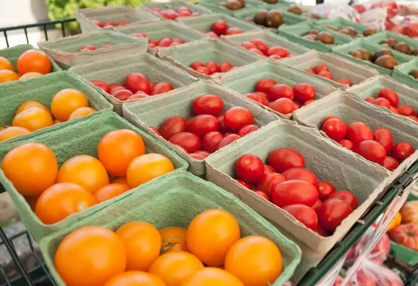 Crash Hotel Squamish