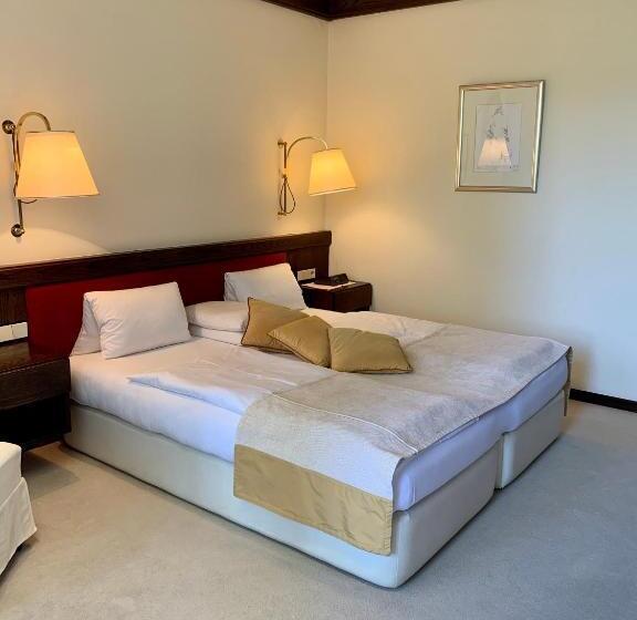 Отель Dietrichsteinerhof Apartments & Rooms