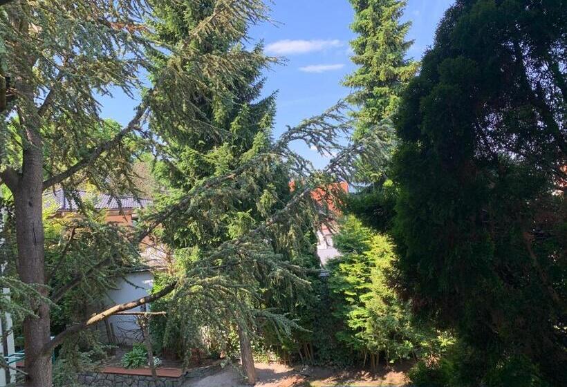 Отель Dietrichsteinerhof Apartments & Rooms