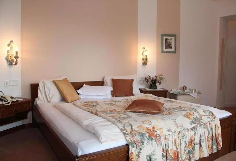 Отель Dietrichsteinerhof Apartments & Rooms