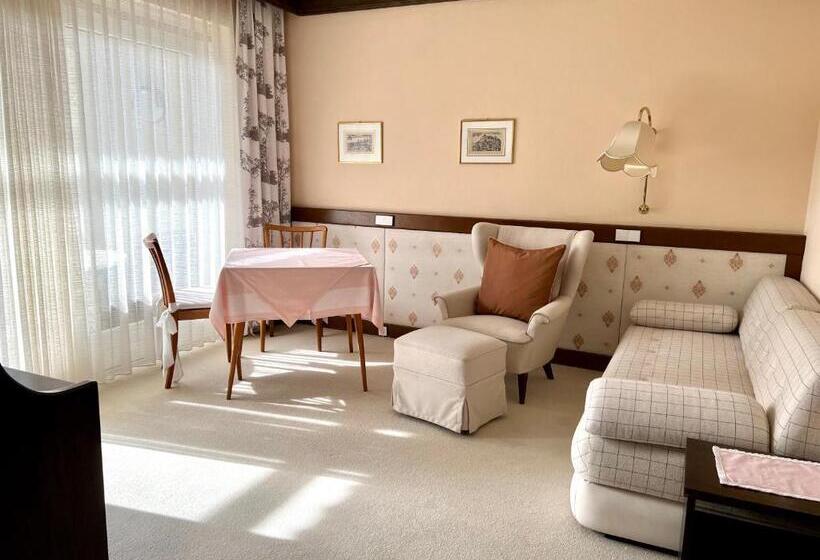 Отель Dietrichsteinerhof Apartments & Rooms