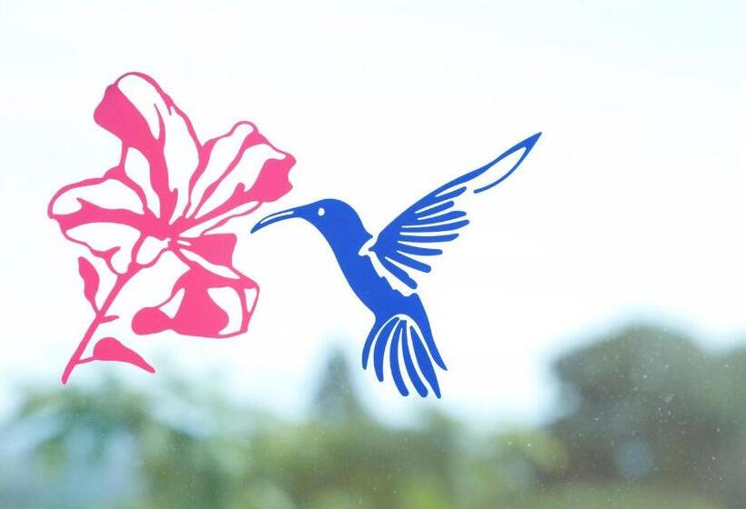 فندق Hôtel Le Kolibri