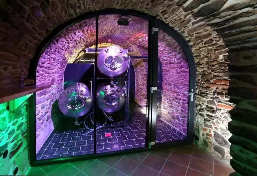 호텔 Koruna Prachatice