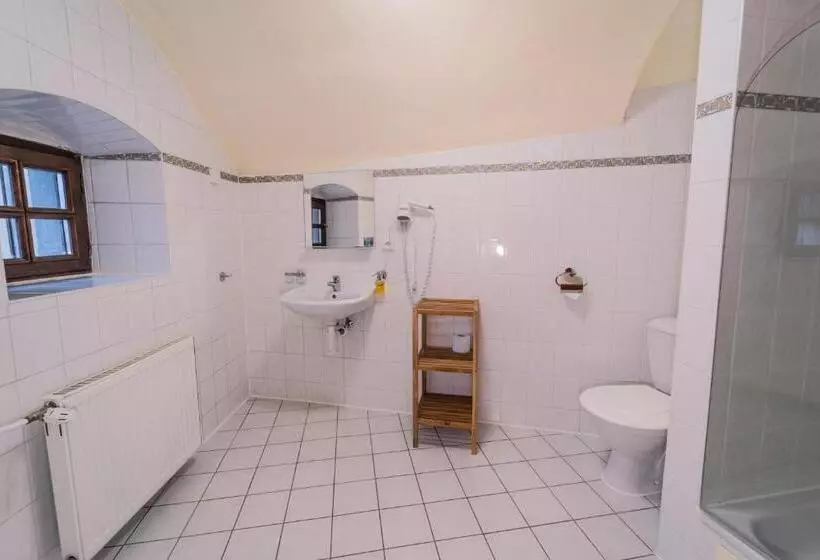 호텔 Koruna Prachatice