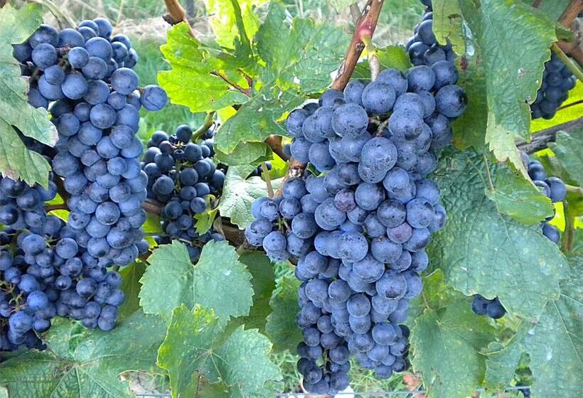 Отель Restaurant Müllner