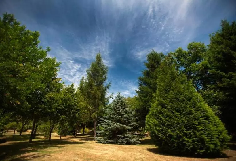 בית מלון כפרי Rectoral De Castillon