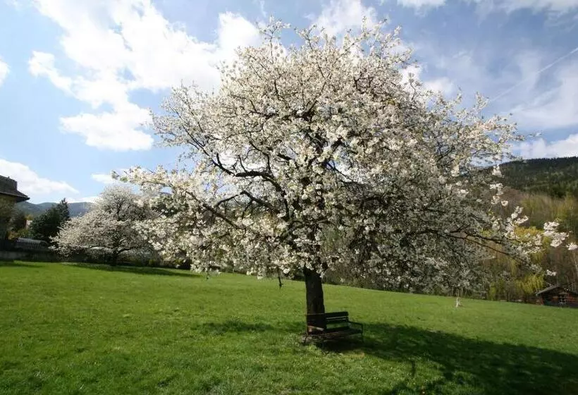 Hotel Scharfegger S Raxalpenhof   Zuhause Am Land