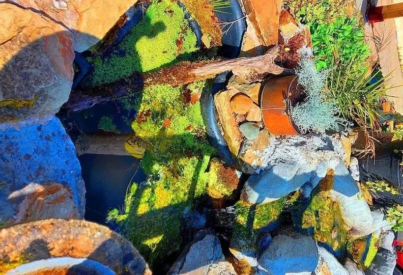 Отель Sportsmans Valley