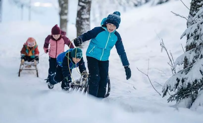 Naturel Hoteldorf Schönleitn