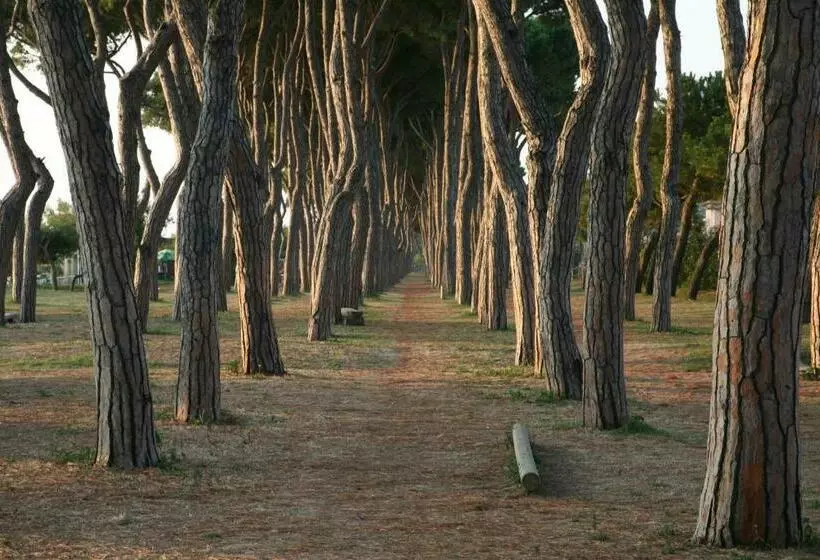 Homiday   Holiday Rendez Vous