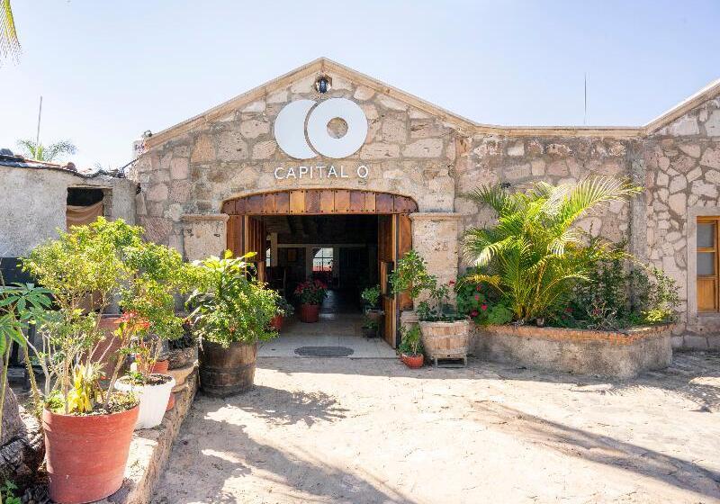Capital O Hotel Posada Terraza, Tequila Jalisco