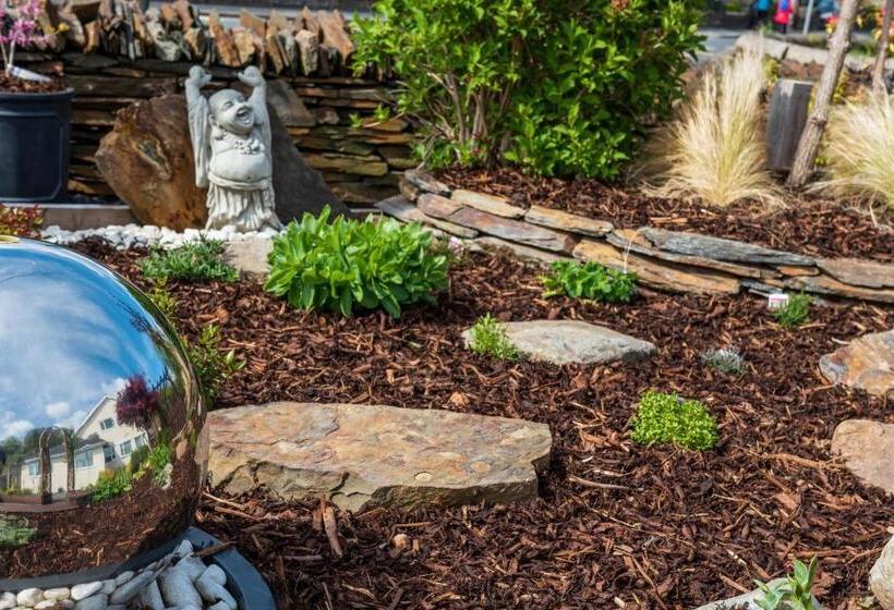 Estuary Lodge Motel B&b