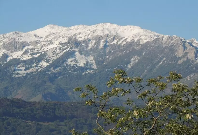 Отель Castillo Del Bosque La Zoreda