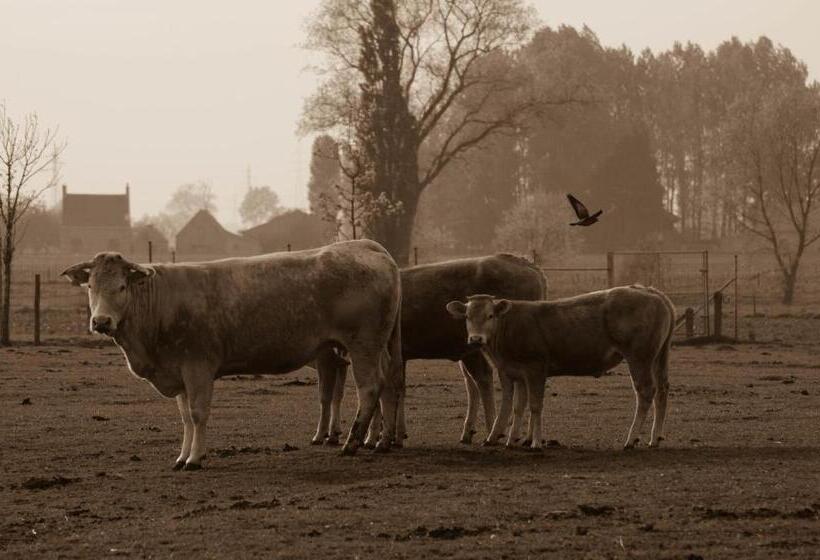 酒店 De Groote Waere