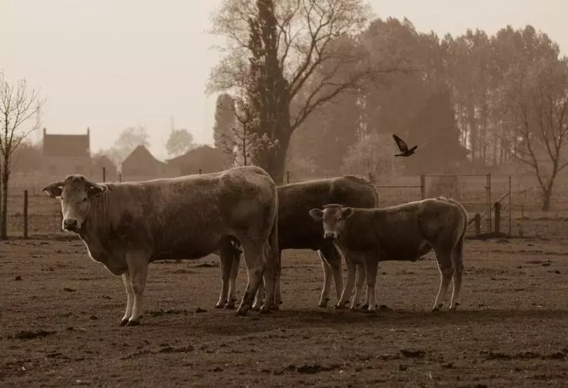 ホテル De Groote Waere