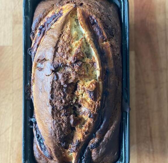 בית מלון כפרי Domovina