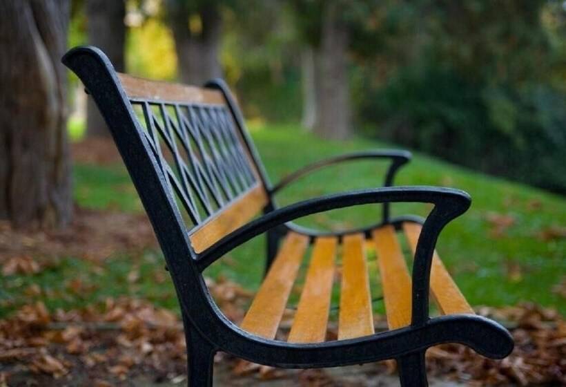 호텔 Guest House On The Mount