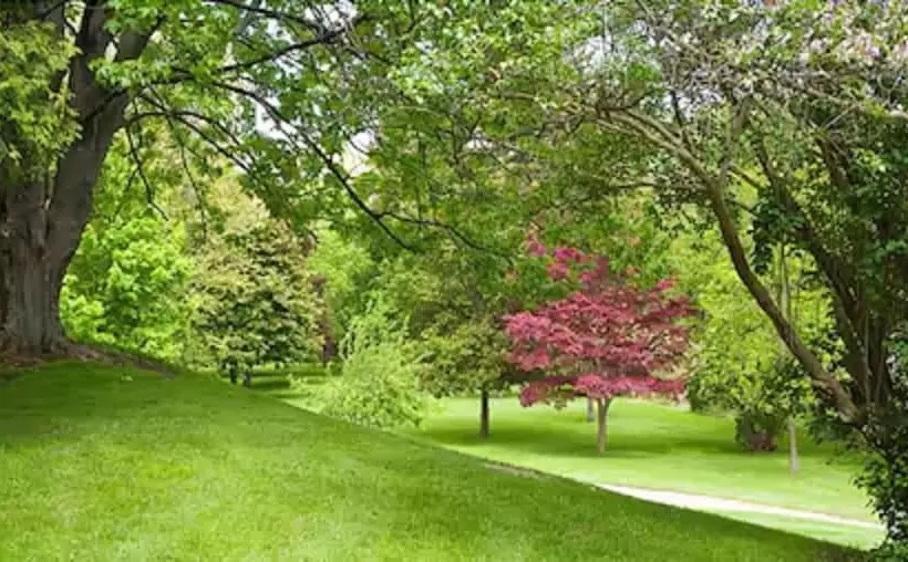 ホテル Guest House On The Mount