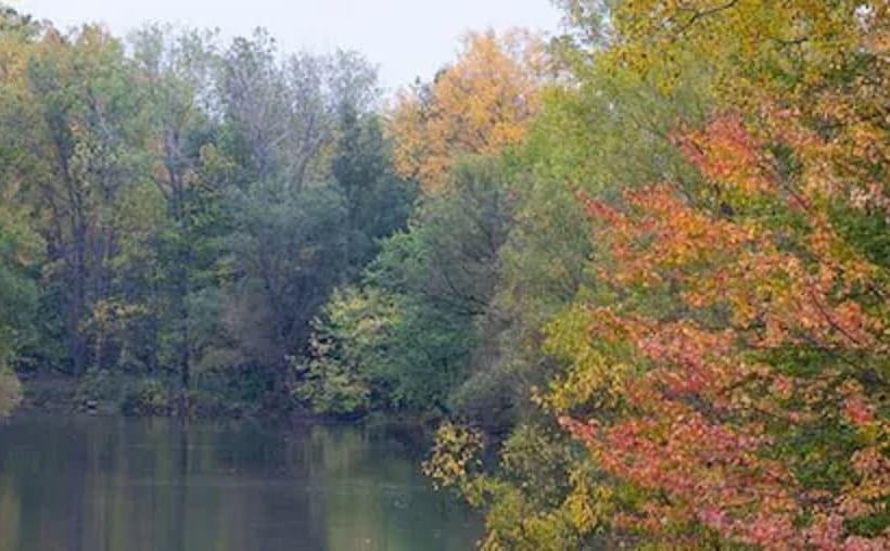 호텔 Guest House On The Mount