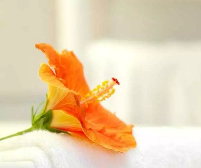 ホテル Hôtel Le Clos Roussillon