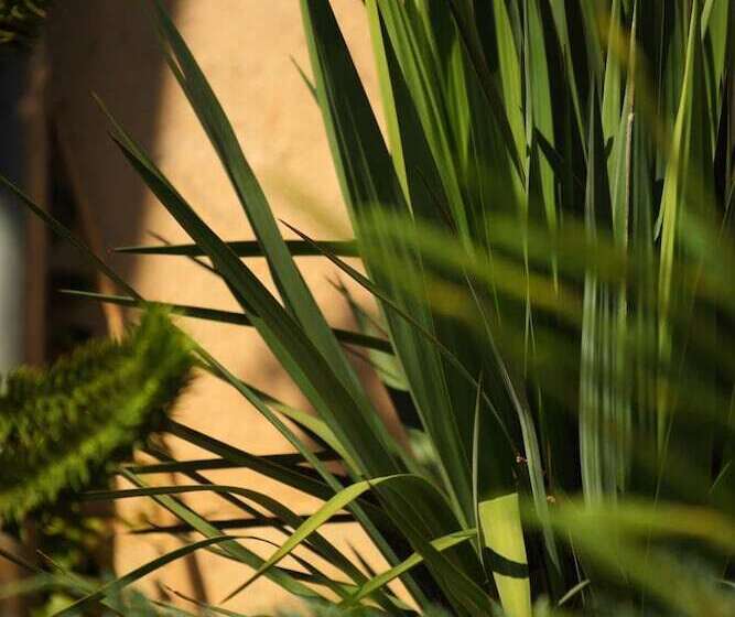 호텔 Hôtel Le Clos Roussillon