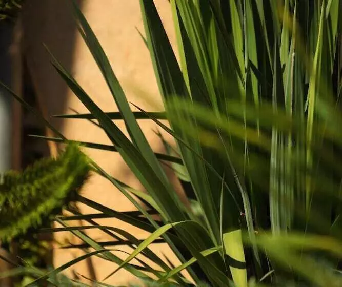 ホテル Hôtel Le Clos Roussillon