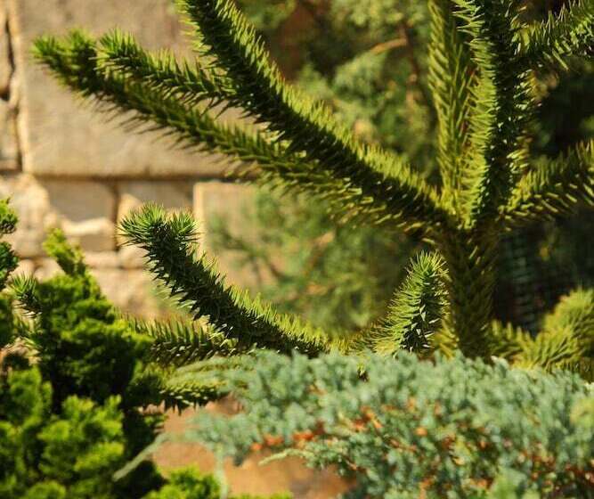 호텔 Hôtel Le Clos Roussillon