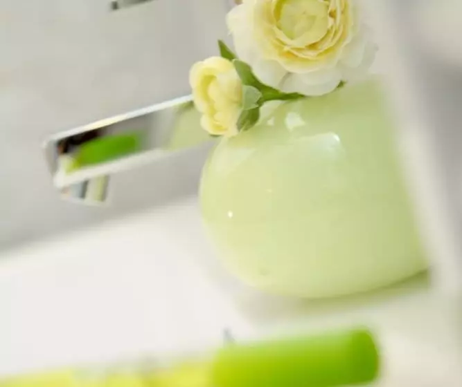 ホテル Hôtel Le Clos Roussillon