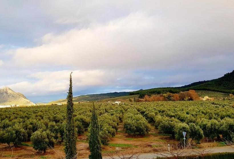 فندق Los Dolmenes