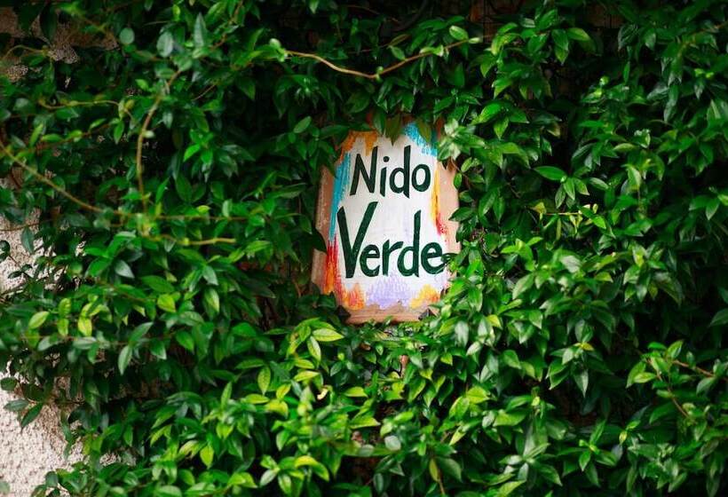 酒店 Nido Verde