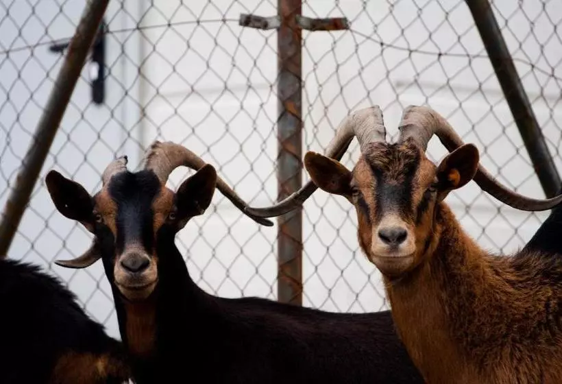 교외 호텔 Restaurante Puente Romano