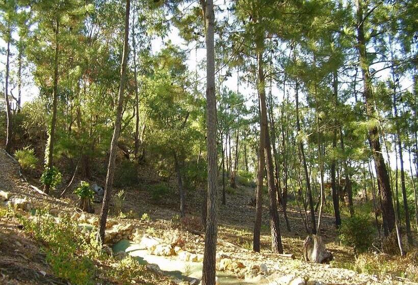 בית מלון כפרי San Miguel