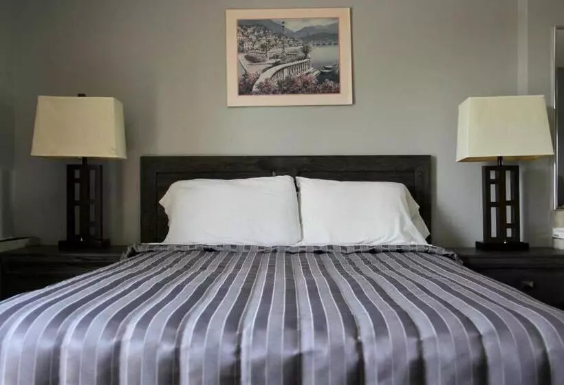 ホテル Victoria Motor Inn