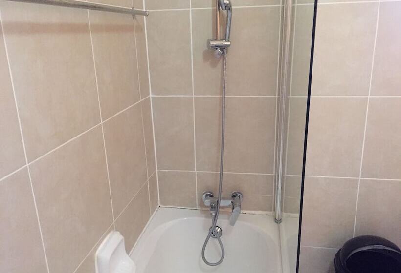 پانسیون Rosey Rest Inn