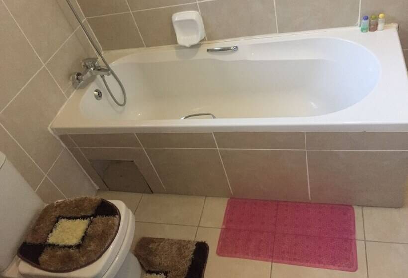 پانسیون Rosey Rest Inn