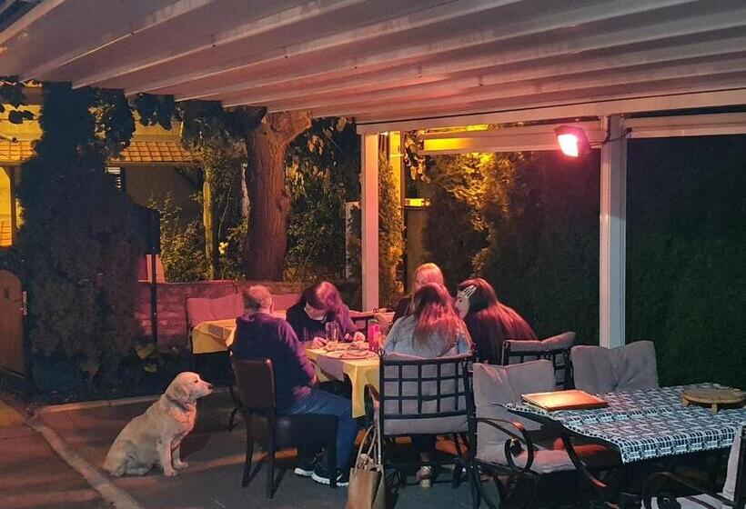 تختخواب و صبحانه Vila Lav Sokobanja