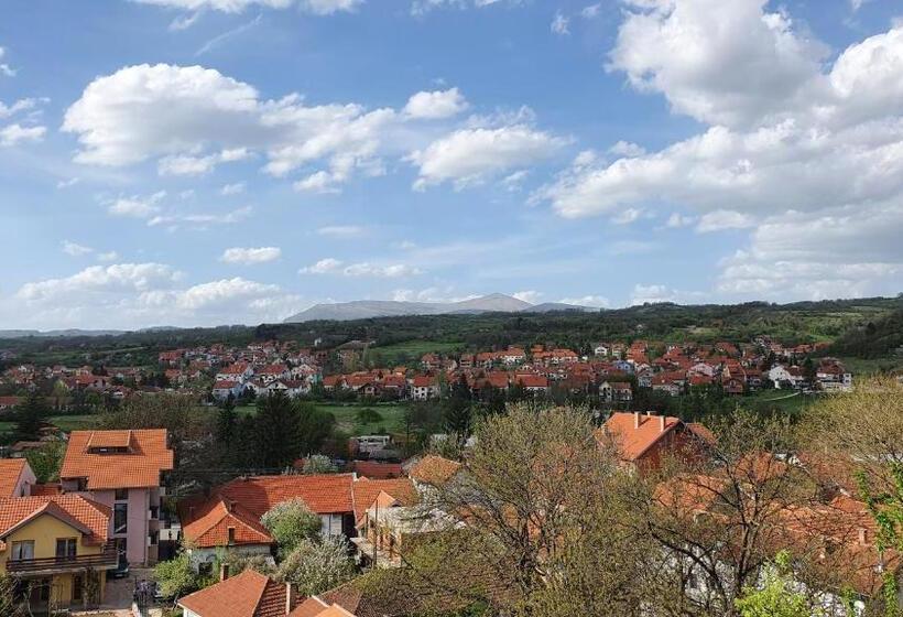 تختخواب و صبحانه Vila Lav Sokobanja