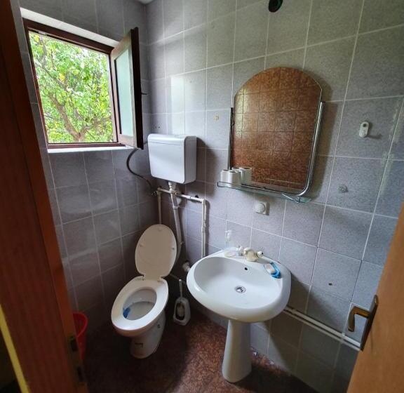 تختخواب و صبحانه Vila Lav Sokobanja