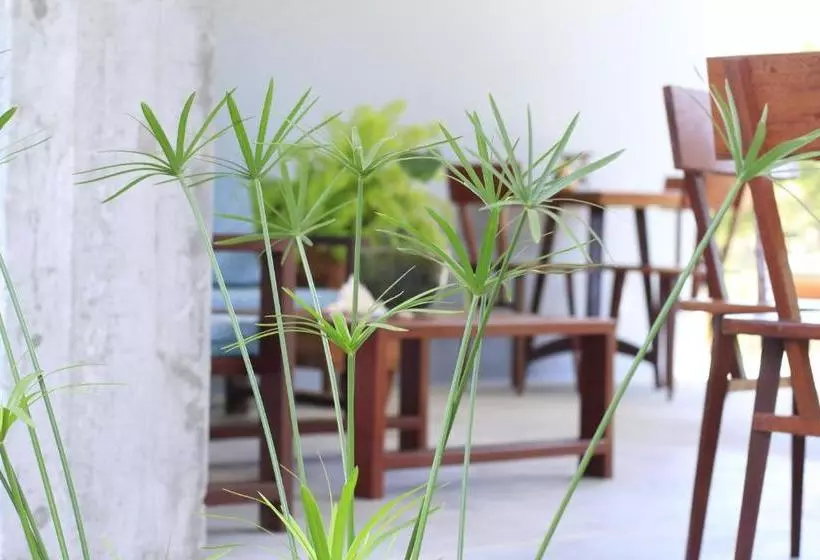 ホテル Vila Das águas