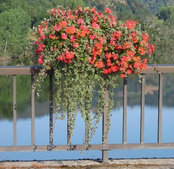 بنسيون Le Pont De Livinhac