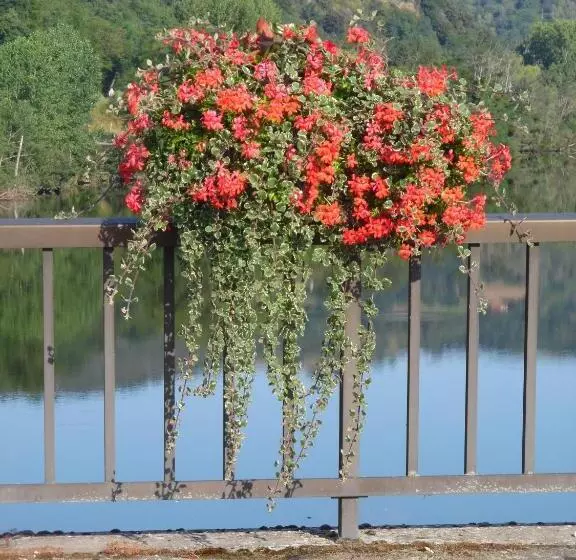 Majatalo Le Pont De Livinhac