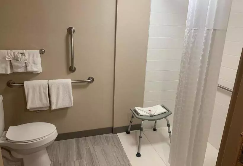 ホテル Comfort Inn Horsham   Philadelphia