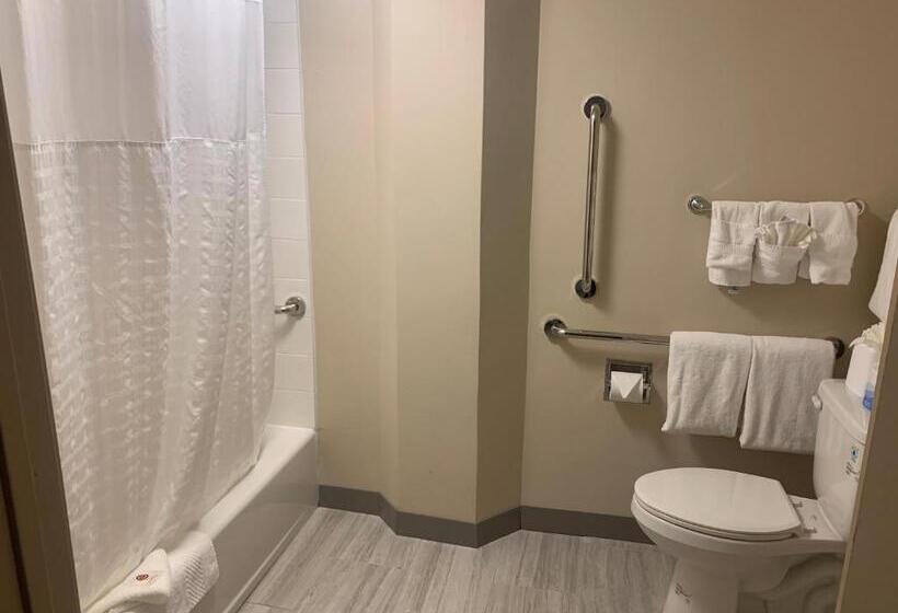 酒店 Comfort Inn Horsham   Philadelphia