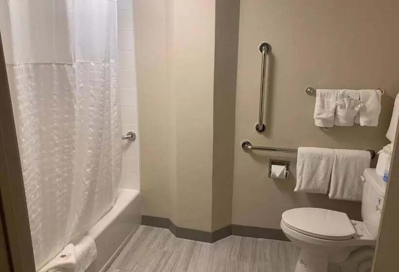 ホテル Comfort Inn Horsham   Philadelphia