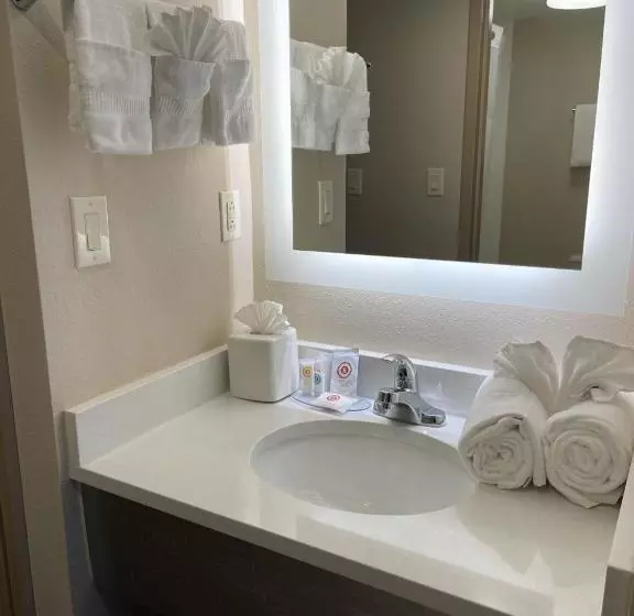 ホテル Comfort Inn Horsham   Philadelphia
